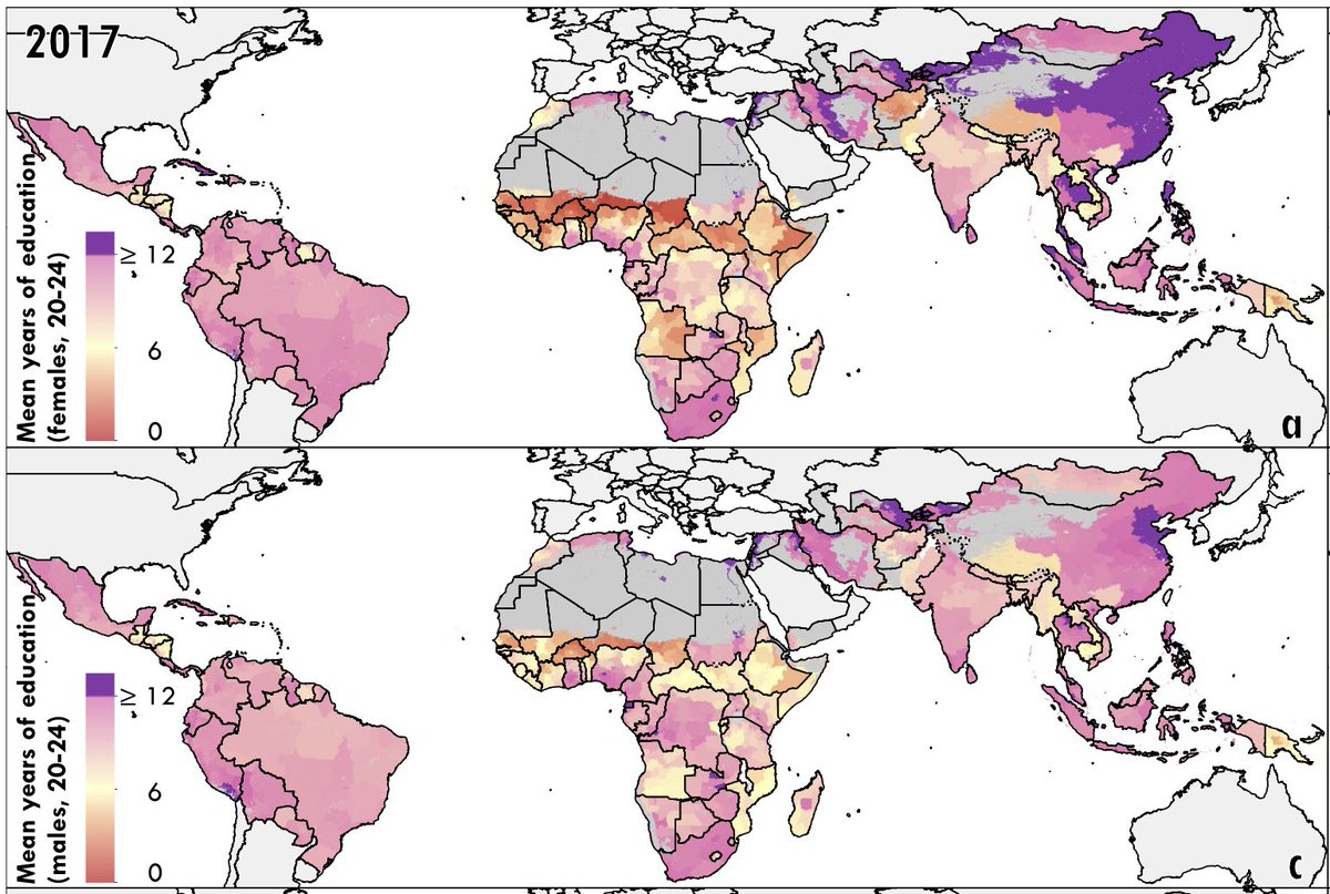 paper_a_day tweet media