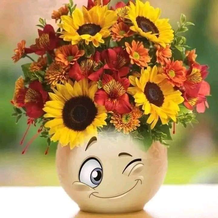 Have a great day everyone 🌻🌻🌻
Specially to you @sunflowerslust