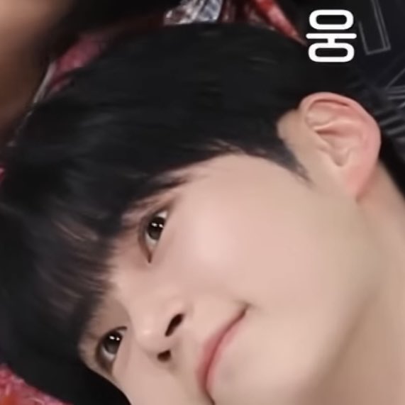 햄냥이 ♡ (@cutehamnyang) / Posts / X