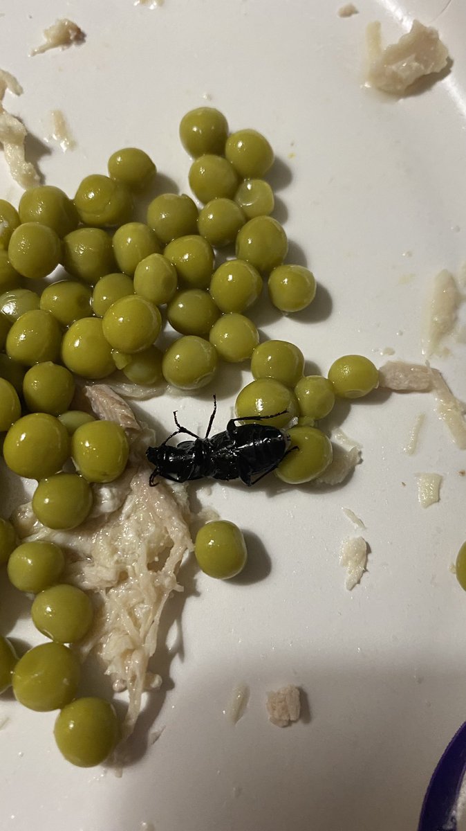 Courtney Coleman ♡ tweet media