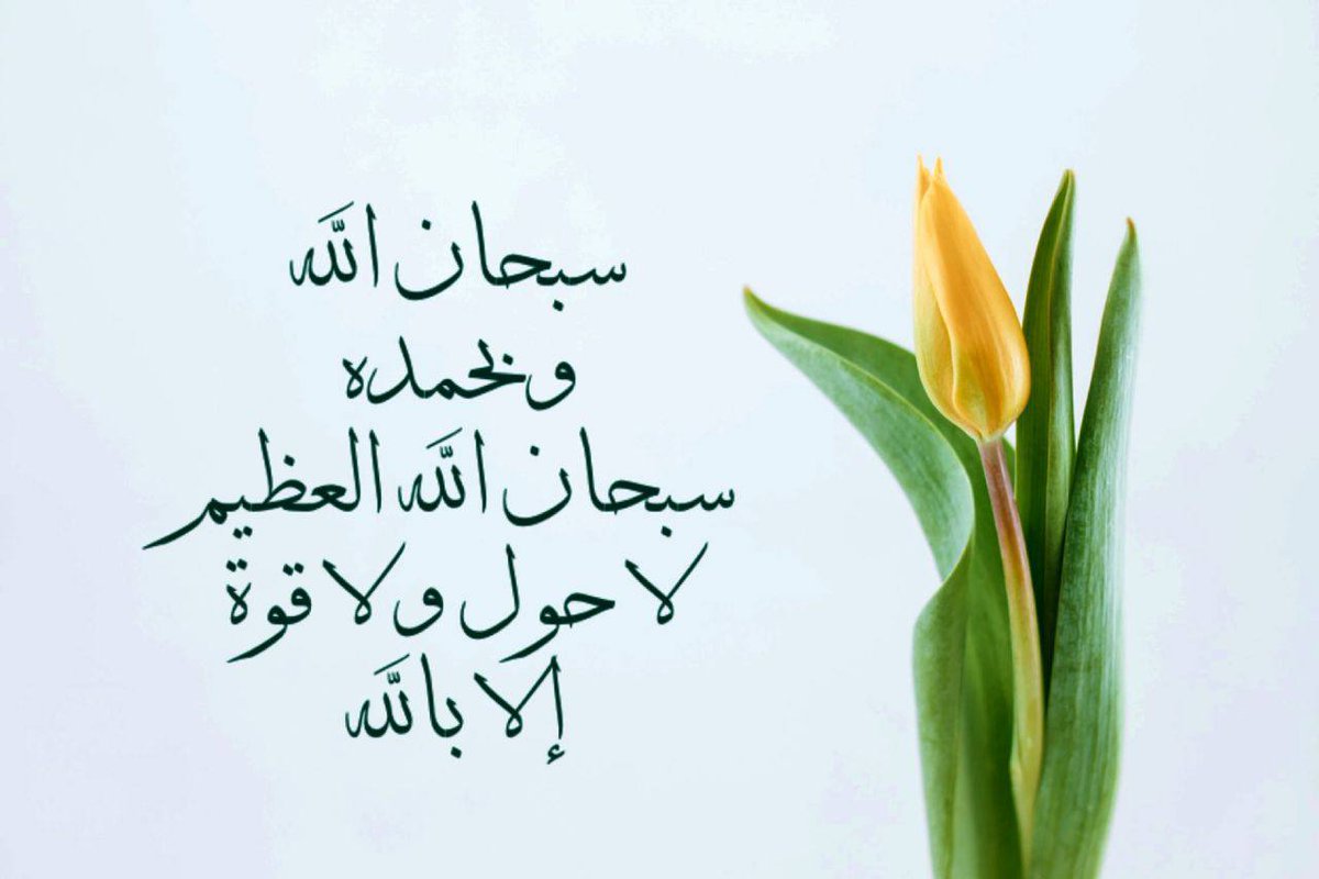 control_Eg's tweet photo. صباح الخير يا تايم لاين #جمعة_مباركة .. 💭🤍 https://t.co/7ODJtpSQeL