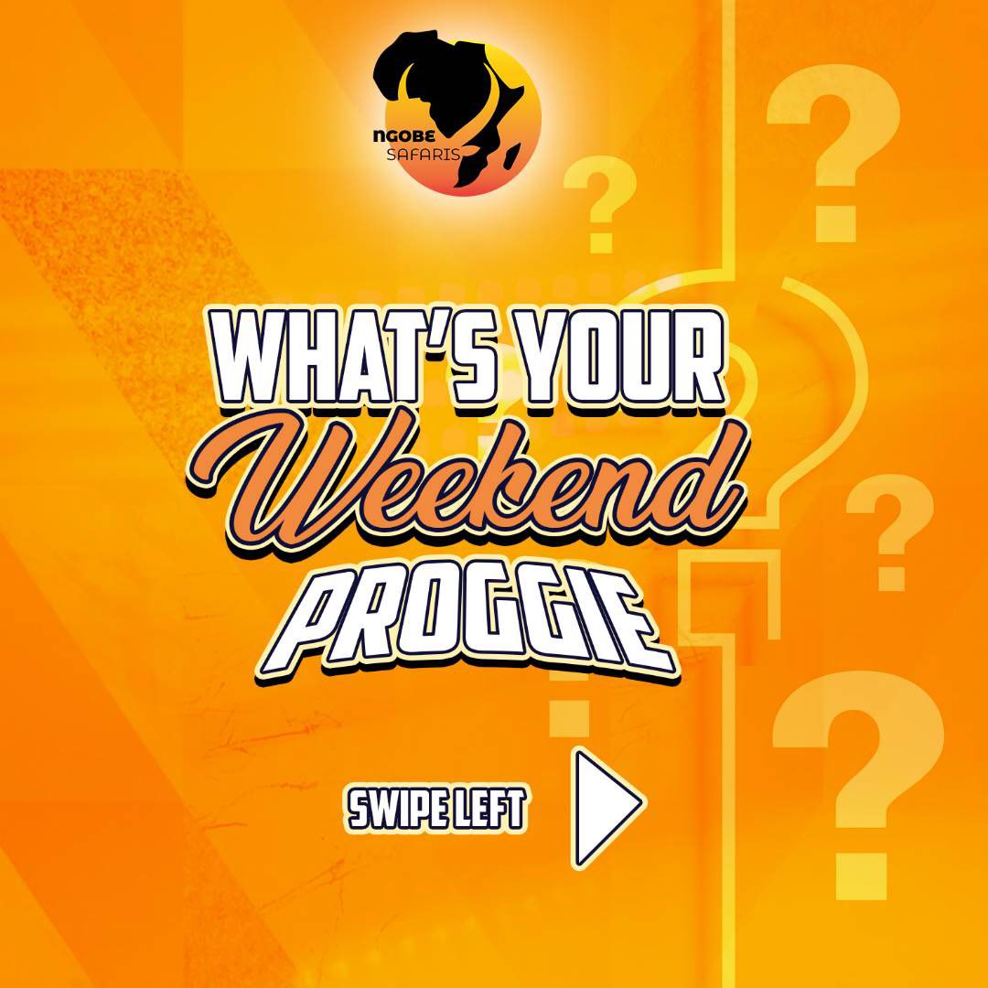 NgobeSafaris's tweet photo. Leave your worries behind and come have some fun with us this weekend. We've got the inside scoop on the hottest events in town. #letsexploretogether #NgobeSafaris https://t.co/wEhPCpoJBp