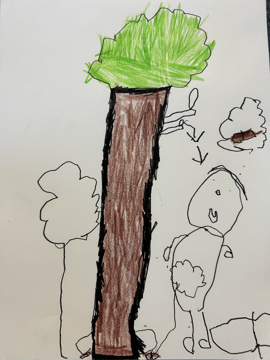 Fleamarketmummy's tweet photo. Reflecting on our forest visit and we see emerge: the scientist, the communicator, the writer and the storyteller. They reveal so much of who they are, it’s a privilege to listen. 🌲🌳 https://t.co/KVR8jFOzJe