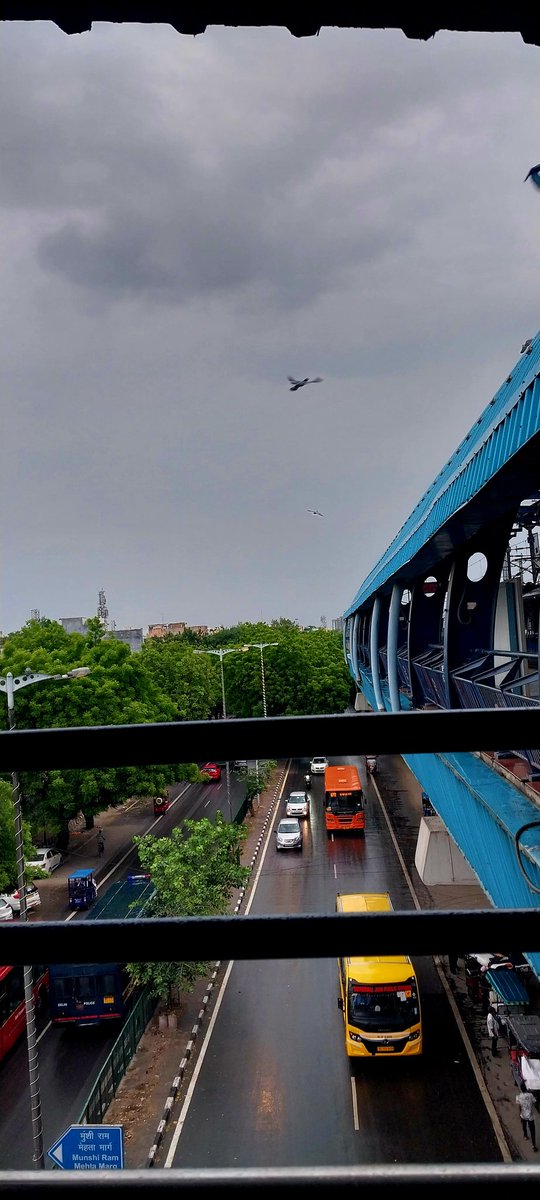 Birds love petrichor. #RainyDays #Delhi #BirdsOfTwitter #photography #CloudStrife #CloudComputing