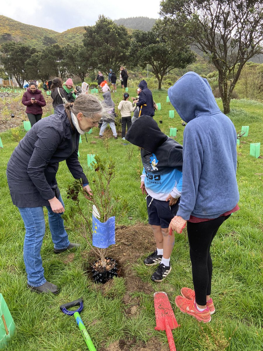 Thank you everyone for joining us in Ōwhiro Bay this morning to plant native trees! Sustainable conservation and diplomacy🪴 <a href="/EUinNZ/">European Union in New Zealand</a> <a href="/PLinNewZealand/">Embassy of Poland in New Zealand</a> <a href="/IndiainNZ/">India in New Zealand</a> <a href="/EmbajadaEspNZ/">Embajada de España en Nueva Zelanda</a> <a href="/AmbafranceNZ/">France in New Zealand 🇫🇷🇪🇺</a> <a href="/AusHCNZ/">Australian High Commission, New Zealand</a> Switzerland, Hungary, and Germany!
