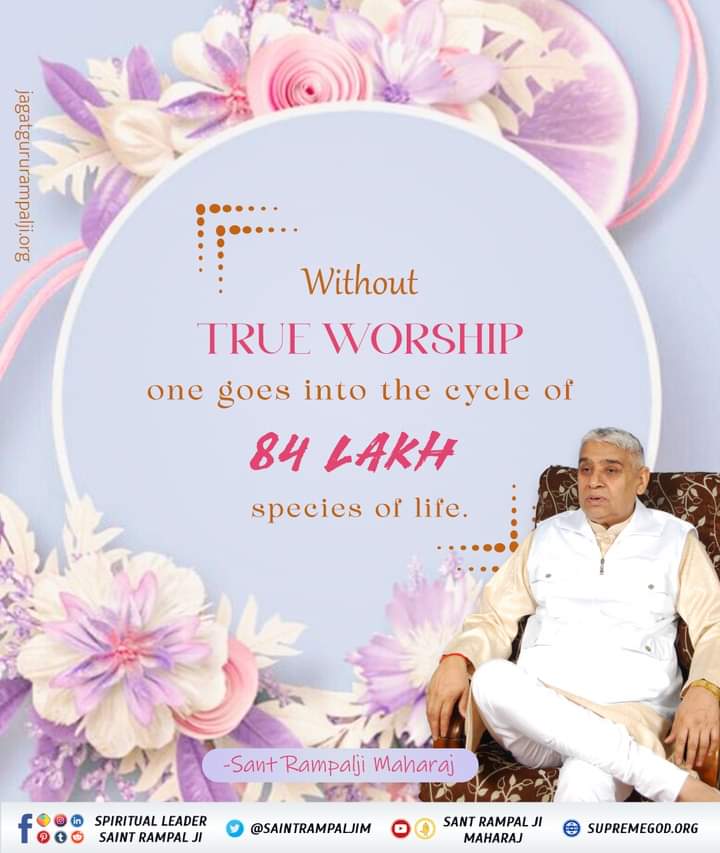 #GodMorningFriday
Without True Worship one goes into the cycle of 84 lakh species of life.
- Saint Rampal Ji Maharaj

Must Watch - Sadhana channel at 7:30 pm.
#SantRampaljiQuotes 
#Kabir_is_Supreme_God 
#kabir_Is_AlmightyGod 
#SantRampalJiMahraj