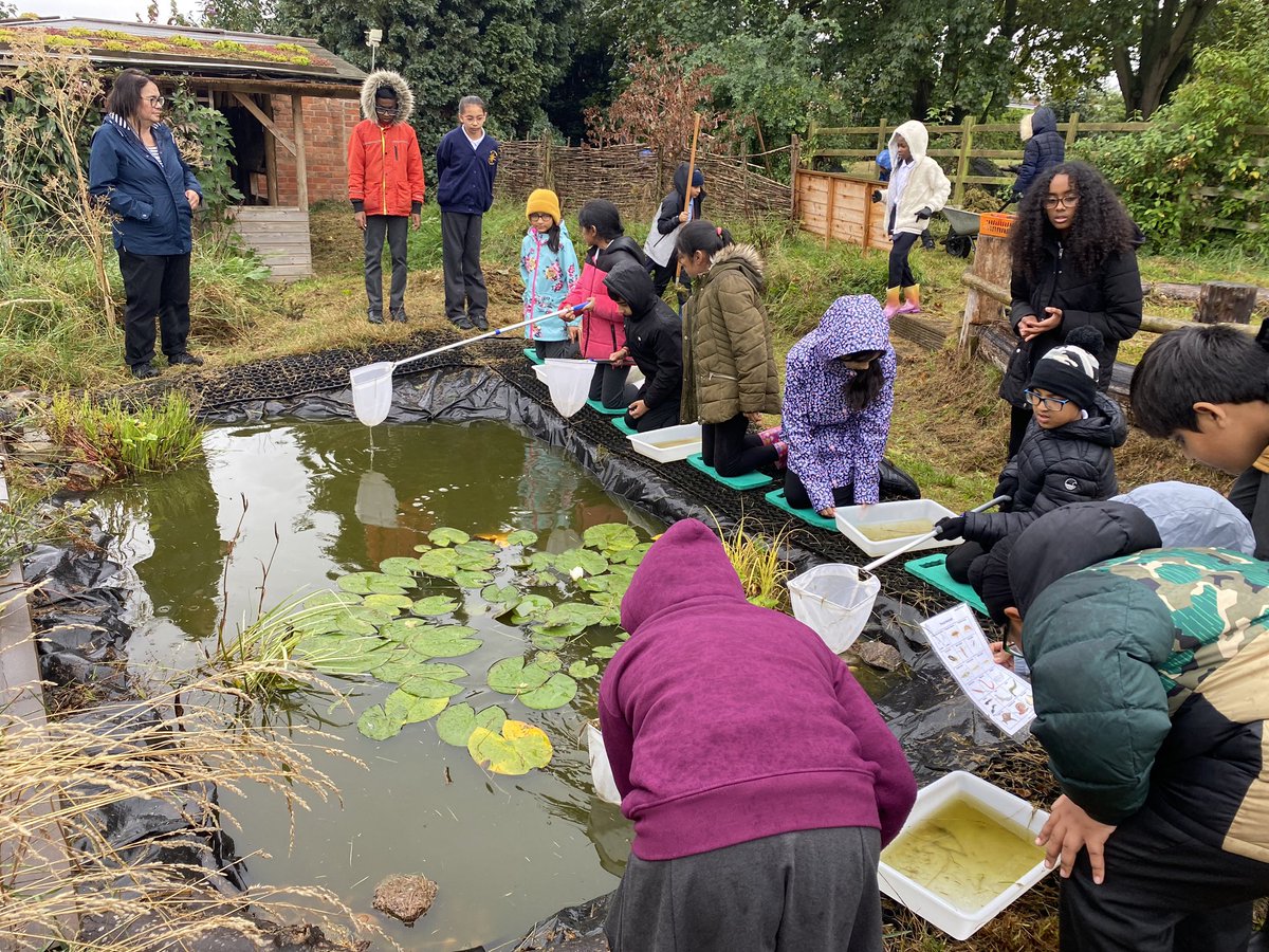 mellorschool's tweet image. Despite being a very rainy day, 6BA pupils enjoyed their Forest School afternoon harvesting seeds and vegetables, pond dipping and tidying up our All-Weather garden. What a great effort! 🌳🌱#ForestSchool #enjoylearning