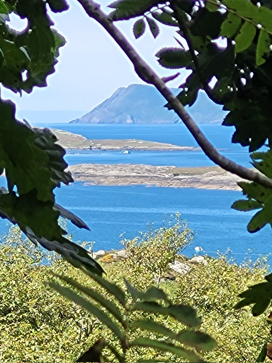 IrishRainforest's tweet photo. 'An Irish Atlantic Rainforest' was released a year ago today.

So far, almost 16k have sold. The reaction has been far and away beyond even my wildest hopes, at times nearly overwhelmingly so.

It could not be more clear there's a **profound** yearning now for a wilder Ireland. https://t.co/0vZz4hbHSo