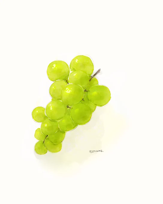 今シャインマスカットが安いようですね。食べたいな… 