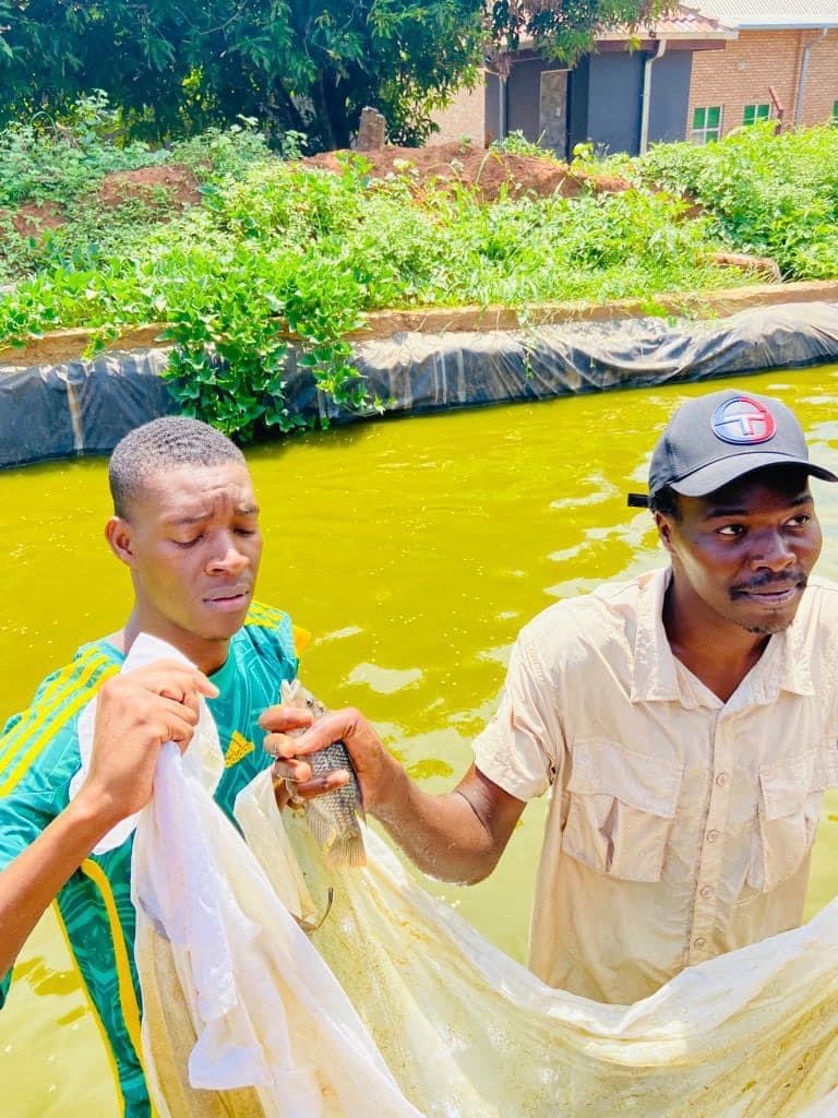 Agric_young tweet picture