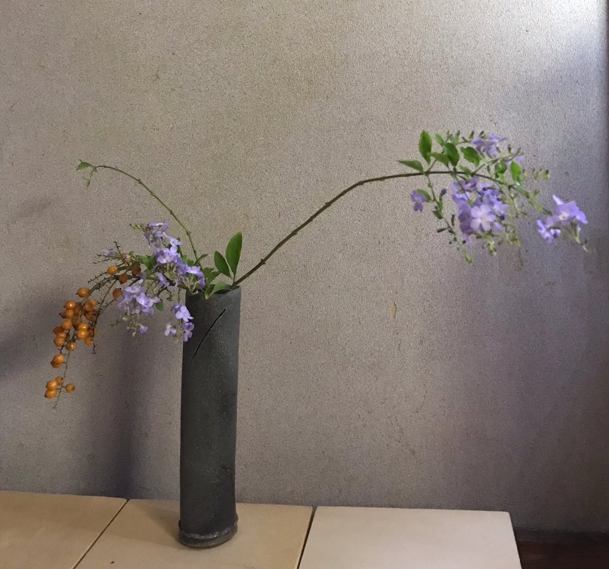 Saule_Flower's tweet photo. 【 長月 】
デュランタづくし✴︎
#庭の花 #デュランタ #一声の秋 #霧の籬 #静寂 #質感 #気配 #あわい #いけばな #お花のある暮らし
#durantarepens #ikebana #ikebanainternational #ecoflowers #stillness #objectatrest #beautyoftheline #flowerphotography #autumnfog #Saule_Flower https://t.co/BNdsvrmKQ9