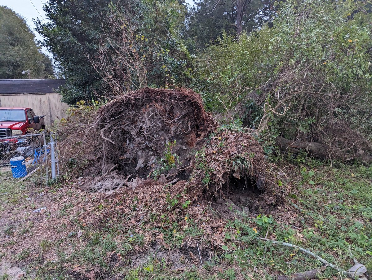 This what happened when when a storm hits but I was walking my dog I had saw it tree had uprooted in my neighborhood. I think this is a weather related damage