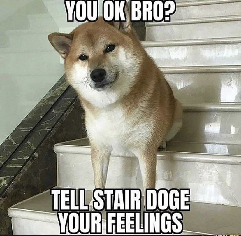 DogeStrip's tweet photo. @zkamp @GLOOM420 @MrBeast https://t.co/cxS5LViLnW