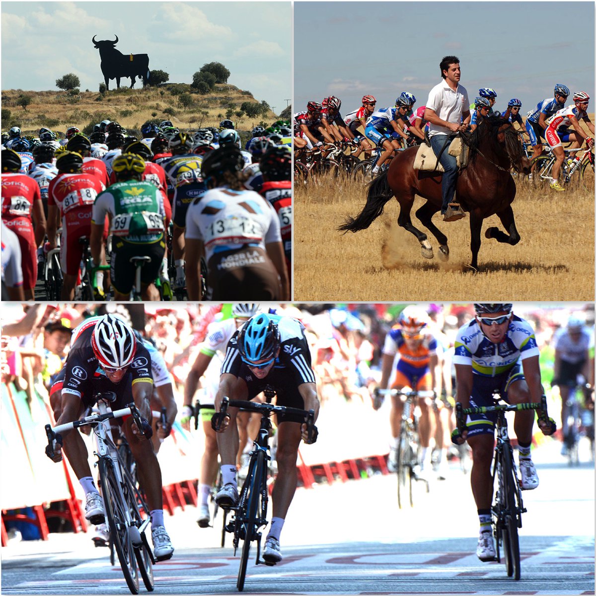 Bulls and horses for entertainment in La Vuelta today - and a sprint gallop like Daniele Bennati and Ben Swift in nearby Valladolid in 2012...