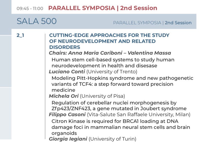 giegiani's tweet photo. Looking forward to present my work today at #SINS2023 during the Parallel Symposia “Cutting-edge approaches for the study of #neurodevelopment and related disorders” 🧠
#brain #organoids #dnadamageresponse https://t.co/pDtAVLsjR3