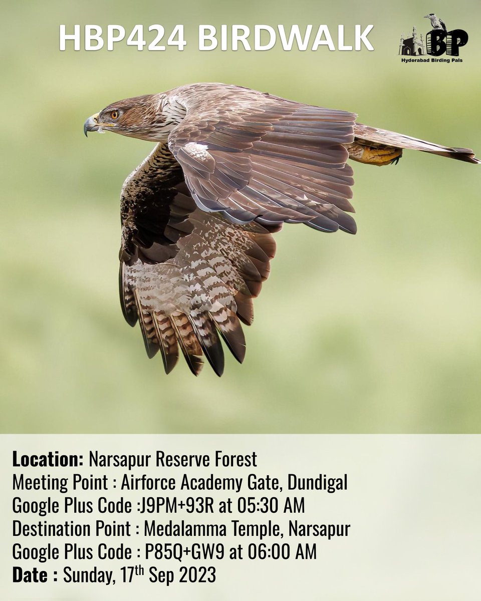 hydbirdingpals's tweet image. #HBP424 Birdwalk at #Narsapur Forest on 17Sep2023
#telanganabirdinghotspots
#HBPBirdwalk
#sundaybirdwalks
#birding
#birdinghobby
#hyderabadbirdingpals
#birdwalks
#birdphotography
#birdphotographers
#birdwatchers
#birdwatchinghobby
#birdwatching