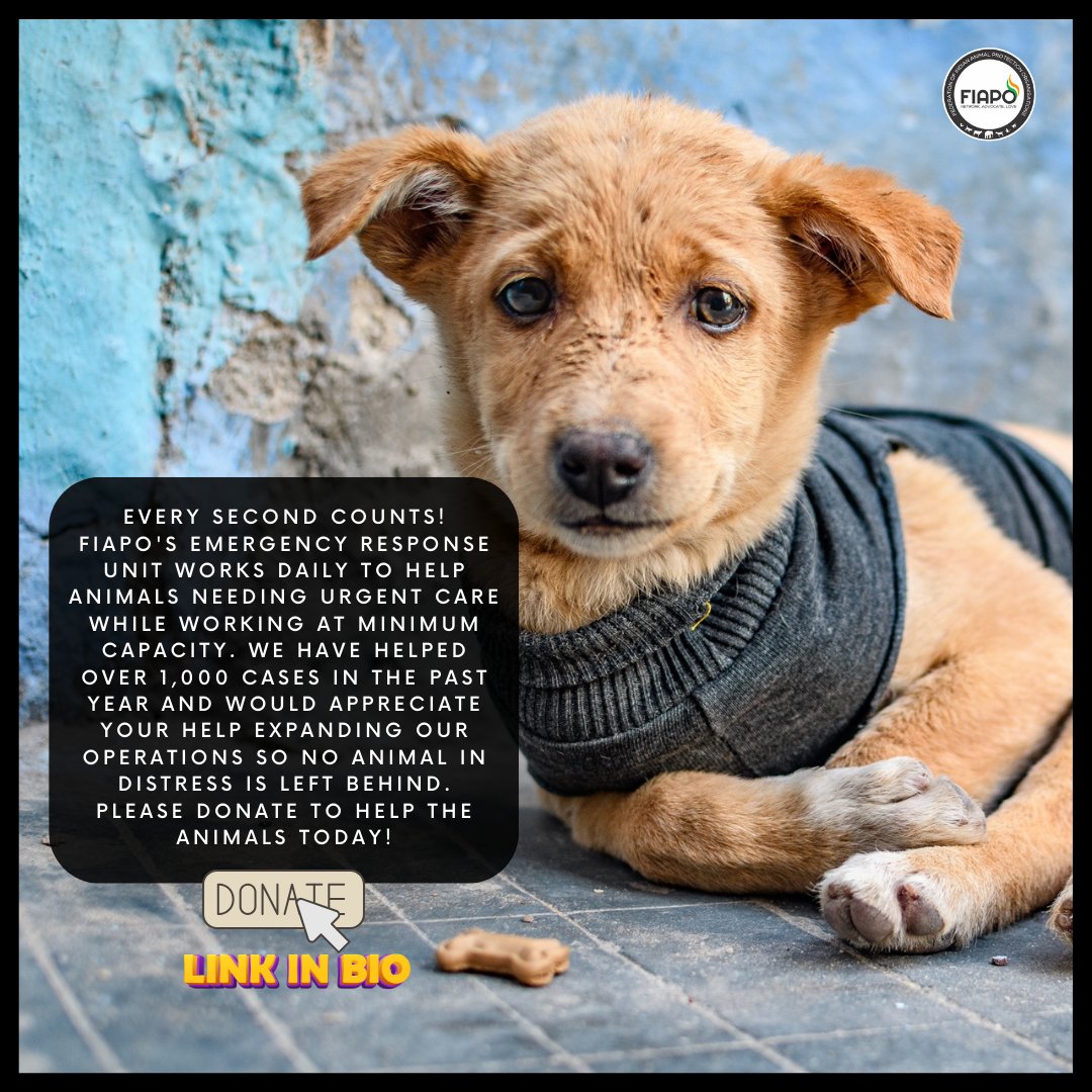 FIAPO's Emergency Response Unit has successfully resolved over 1,000 cases of animals in danger in the last one year. Together with passionate individuals and organizations, we are standing up against animal cruelty. Please donate to us at- fiapo.org/donation/