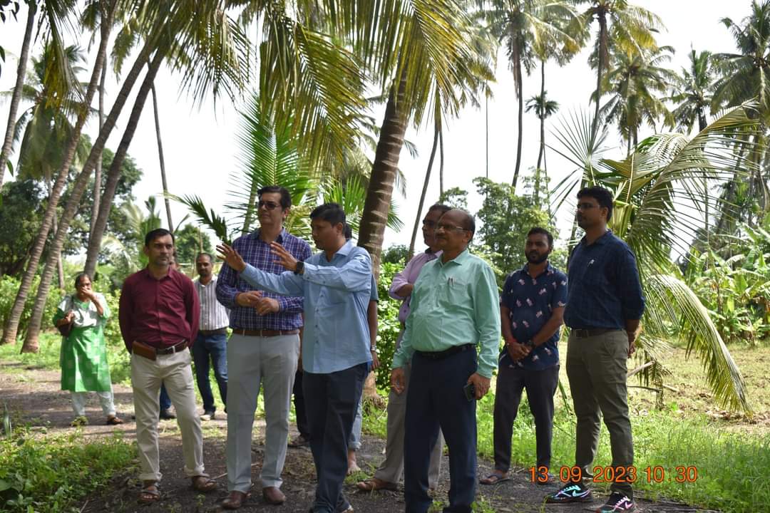 NAUOfficial's tweet photo. Hon'ble Vice-Chancellor Dr. Z. P. Patel, accompanied by Dr. T. R. Ahlawat, Director of Research, and Dr. V. R. Naik, ADR, marked a historic moment by planting GE Banana plants in Gujarat for the first time. This milestone was achieved at the Fruit Research Station, Gandevi. https://t.co/U9id6GfSP2