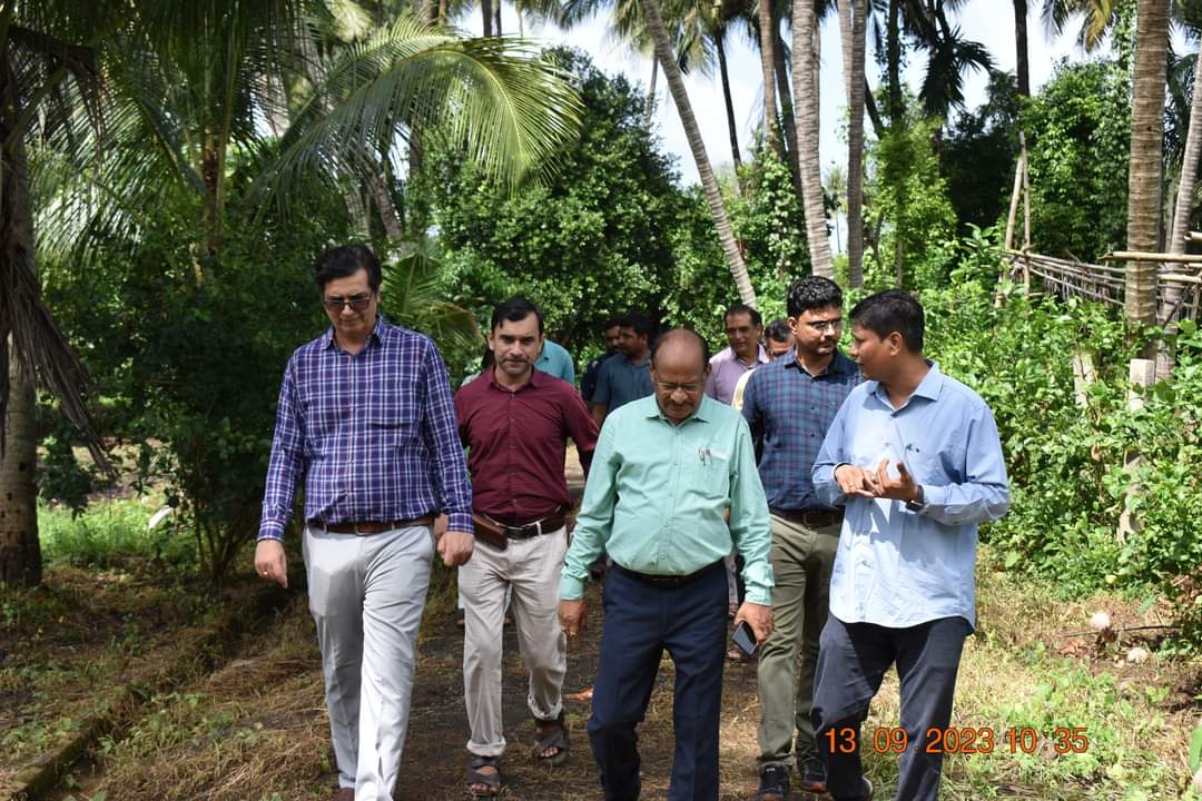 NAUOfficial's tweet photo. Hon'ble Vice-Chancellor Dr. Z. P. Patel, accompanied by Dr. T. R. Ahlawat, Director of Research, and Dr. V. R. Naik, ADR, marked a historic moment by planting GE Banana plants in Gujarat for the first time. This milestone was achieved at the Fruit Research Station, Gandevi. https://t.co/U9id6GfSP2