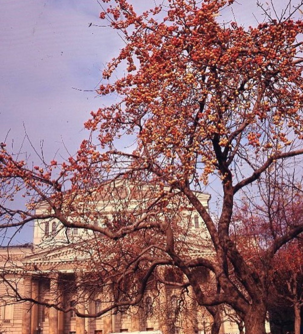 Золотая осень в Москве и Ленинграде, 1950-е - 1970-е гг, фотограф - Иван Шагин