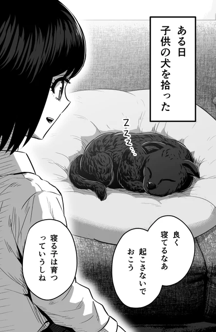 捨て犬を育てたら正体がヤバかった③(1/2) 
