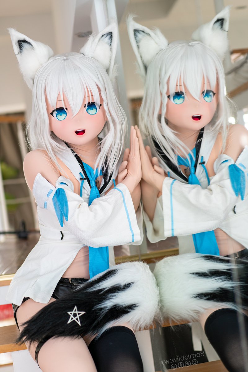 ⑨喵～ tweet media