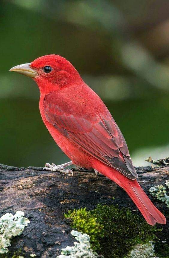 Daniela Dobos 🇨🇦😘 (@danieladobos9) on Twitter photo 