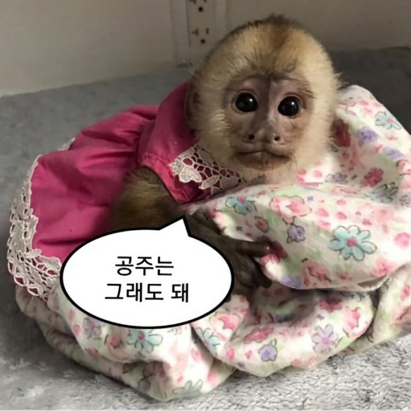 boooong_e's tweet photo. @99_mmng https://t.co/OQQHkuhO5H