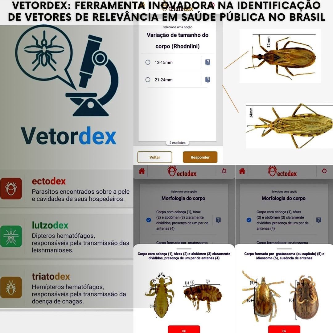 Confira a matéria na íntegra: sbmt.org.br/vetordex-ferra…