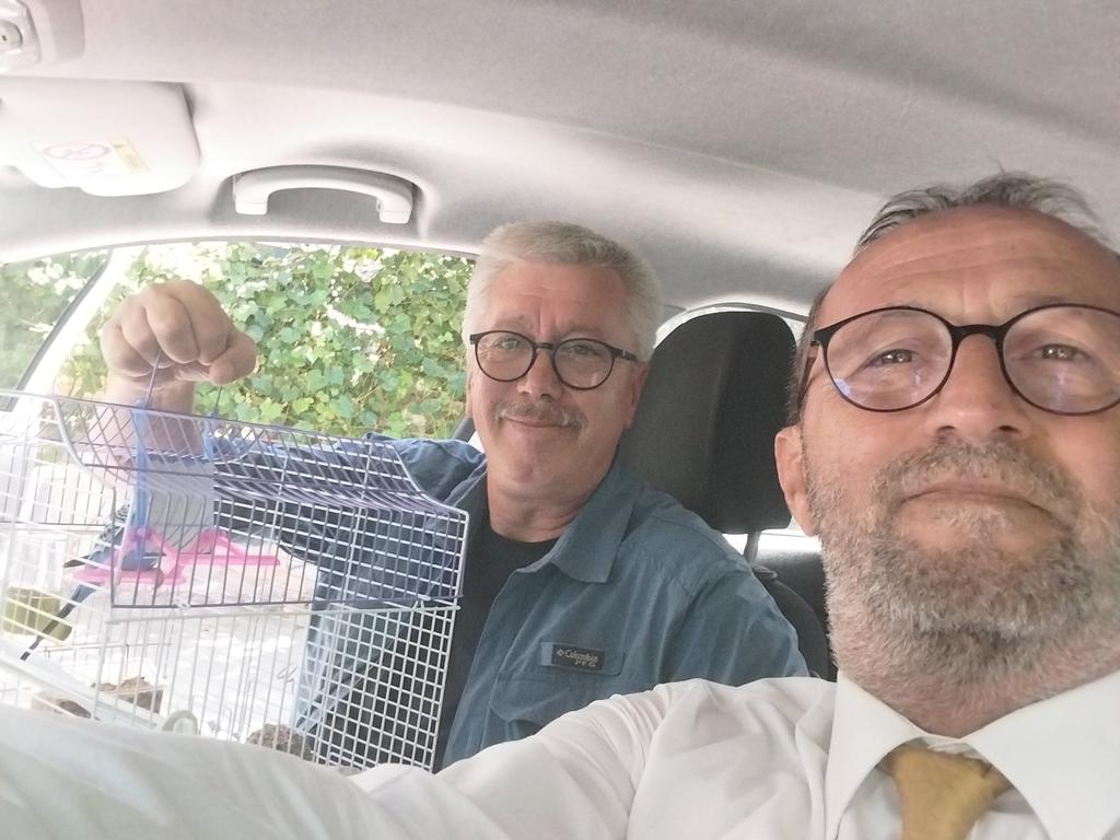 Maviş'i teslim aldık Ayşe Teyze'ye ulaştırmak üzere İstanbul'a  yola çıktık...