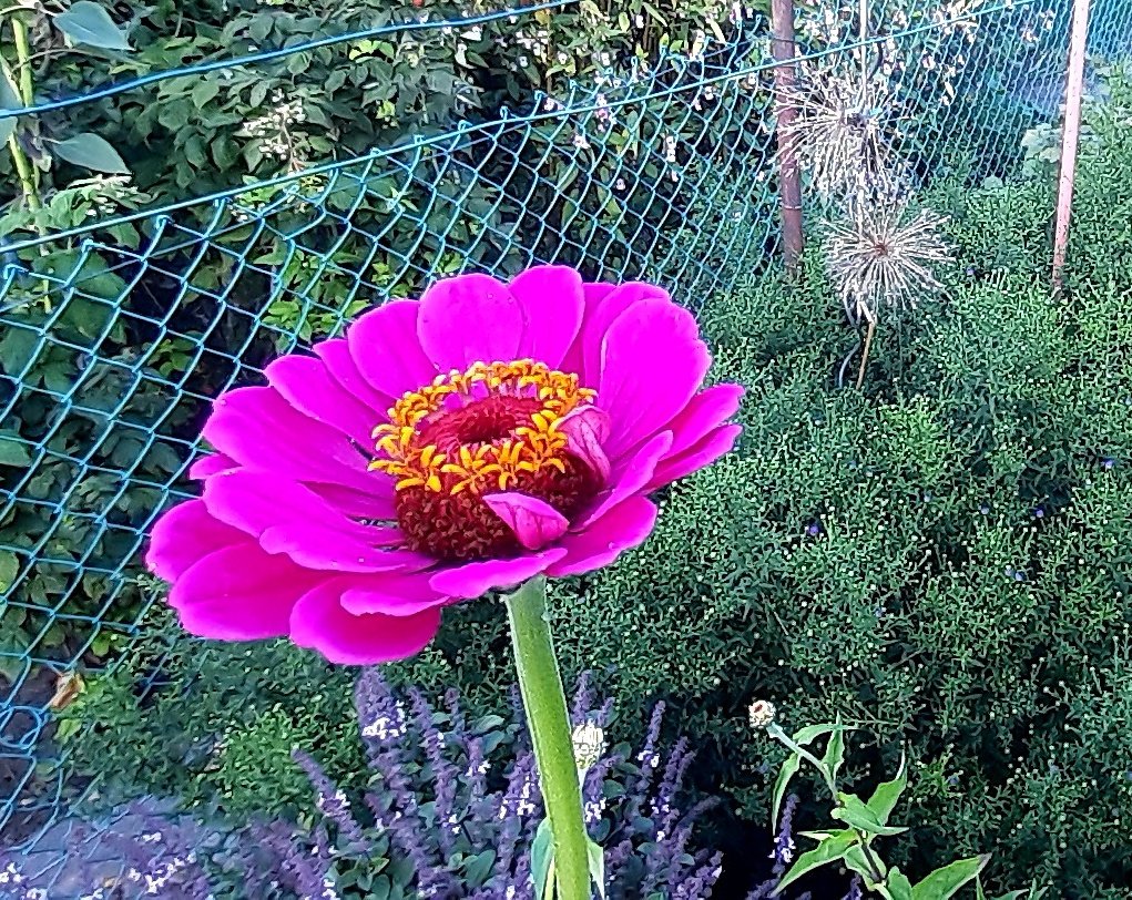 spielRaeume_ffm's tweet photo. Heute habe ich a.d. Supervision für #MBCL-Lehrer:innen teilgenommen. "Mindfulness-Based Compassionate Living" ist ein Training zur Einübung von #Mitgefühl mit uns u. anderen. Wir lernen, uns im Stress durch #Mitgefühl zu schützen u. im Kontakt mit anderen mitfühlend zu sein. https://t.co/tZ8hQl3TP3