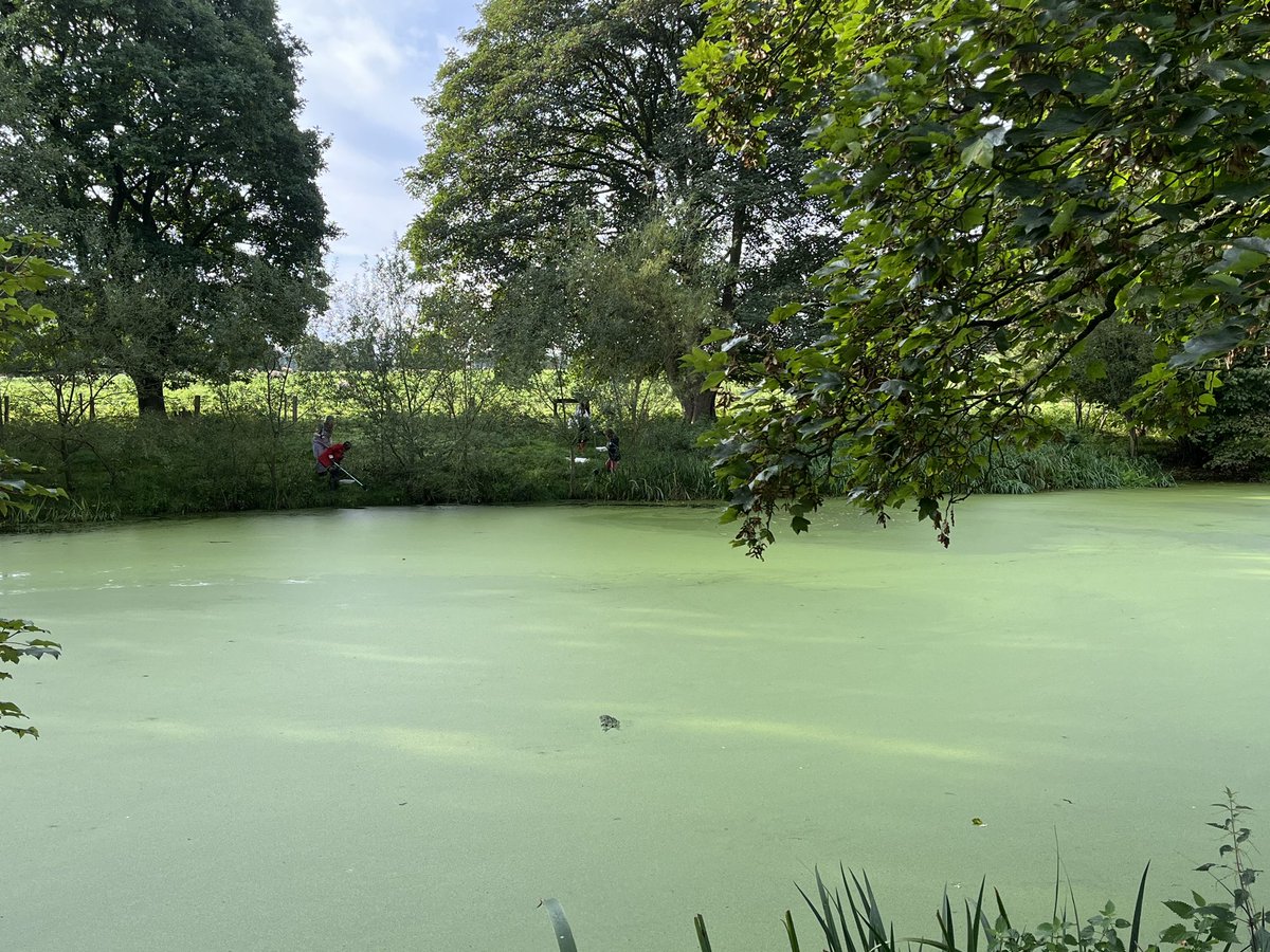DagnallLab's tweet image. Here’s a few snaps of the new intake of the MSc Tropical Disease Biology enjoying themselves in the Shropshire countryside on our annual field trip collecting mosquito larvae #mosquitoes #fieldwork #tropicaldiseasebiology @LSTMnews