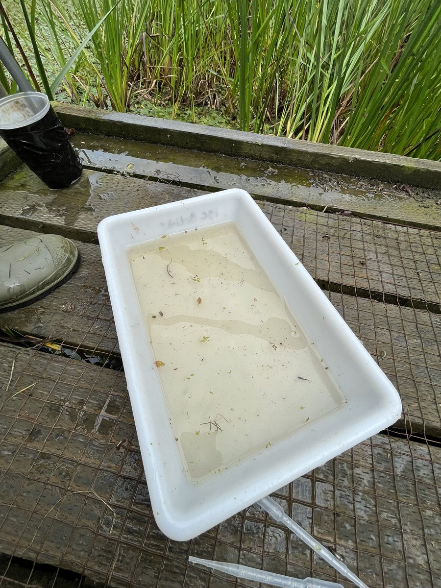DagnallLab's tweet image. Here’s a few snaps of the new intake of the MSc Tropical Disease Biology enjoying themselves in the Shropshire countryside on our annual field trip collecting mosquito larvae #mosquitoes #fieldwork #tropicaldiseasebiology @LSTMnews