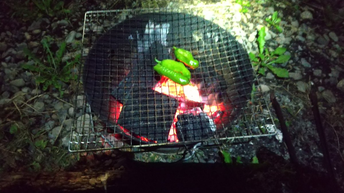 明日から3日間札幌方面へ出かけるので、いつもより多めに炭を使って熾す。
#鶴居木炭
#浦幌木炭