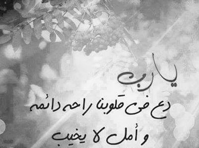 في ذمةِ اللِيل🇵🇸 tweet media
