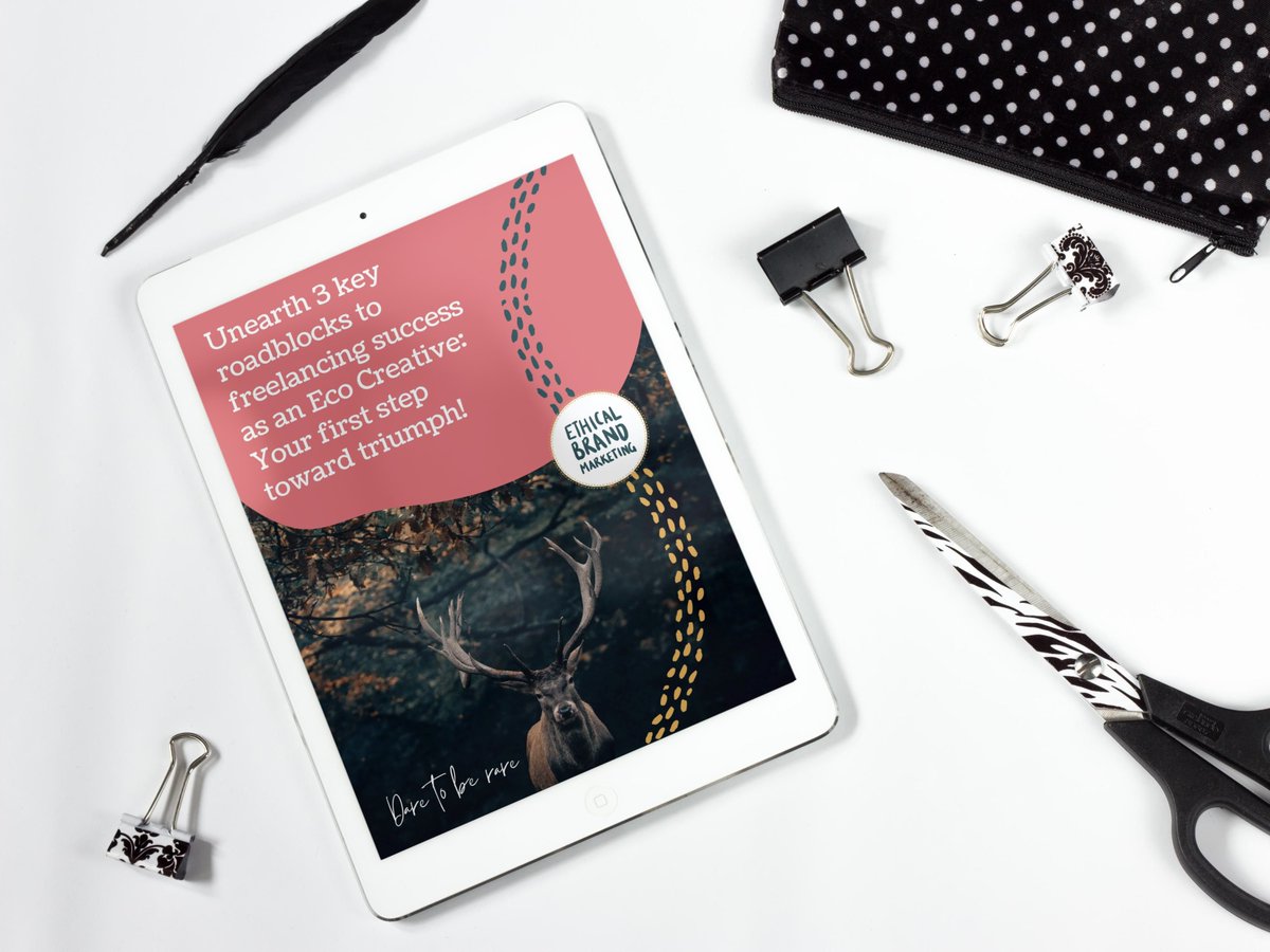 Hey there, #ecocreative!

If you're passionate about your craft + nature + are struggling to stand out in the freelancing world, I've got a #freeguide to help you attract mission-aligned #ecofriendly clients!

ethicalbrandmarketing.com/eco-creative-g…

#freelancingeconomy #freelancingcreative