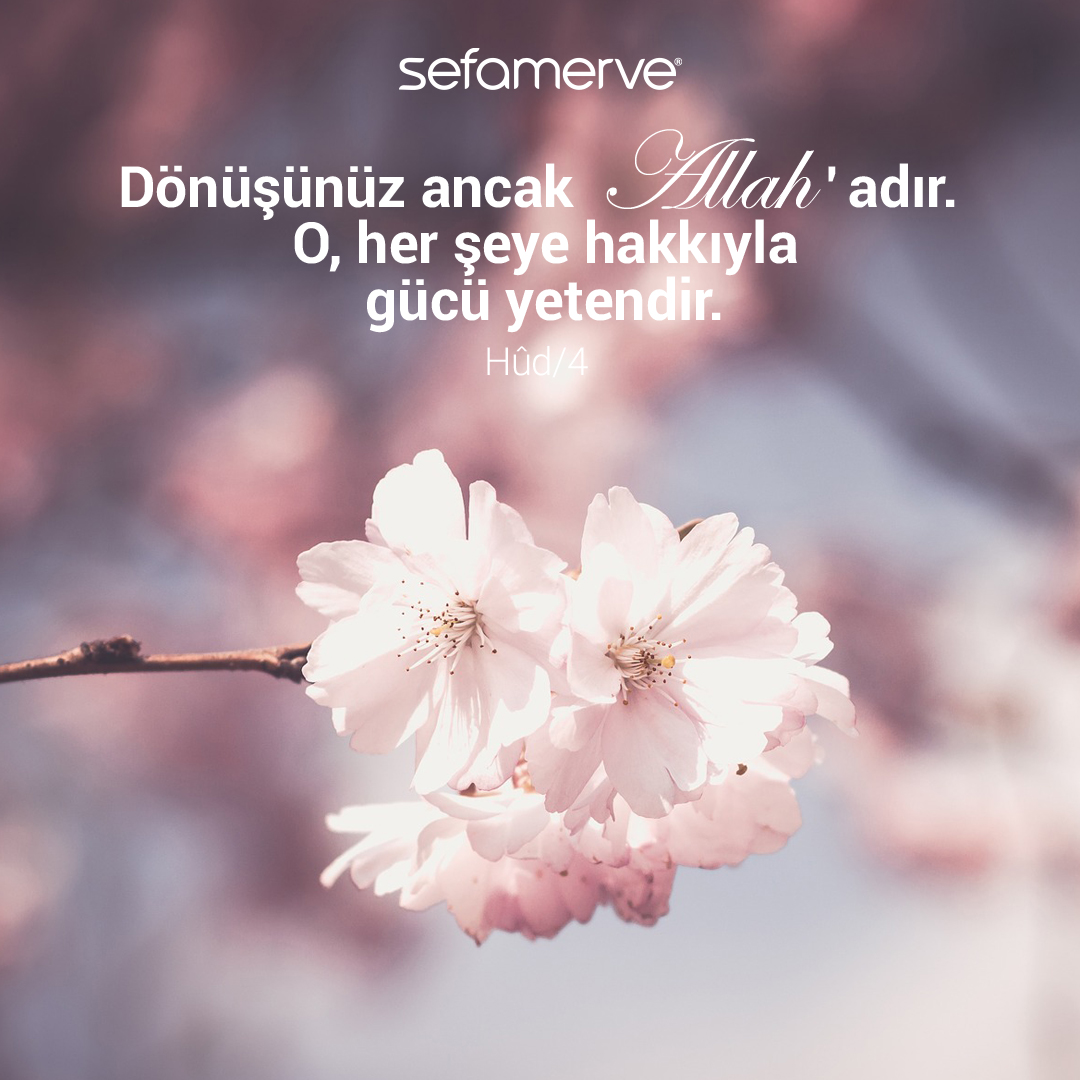 sefamerve tweet media