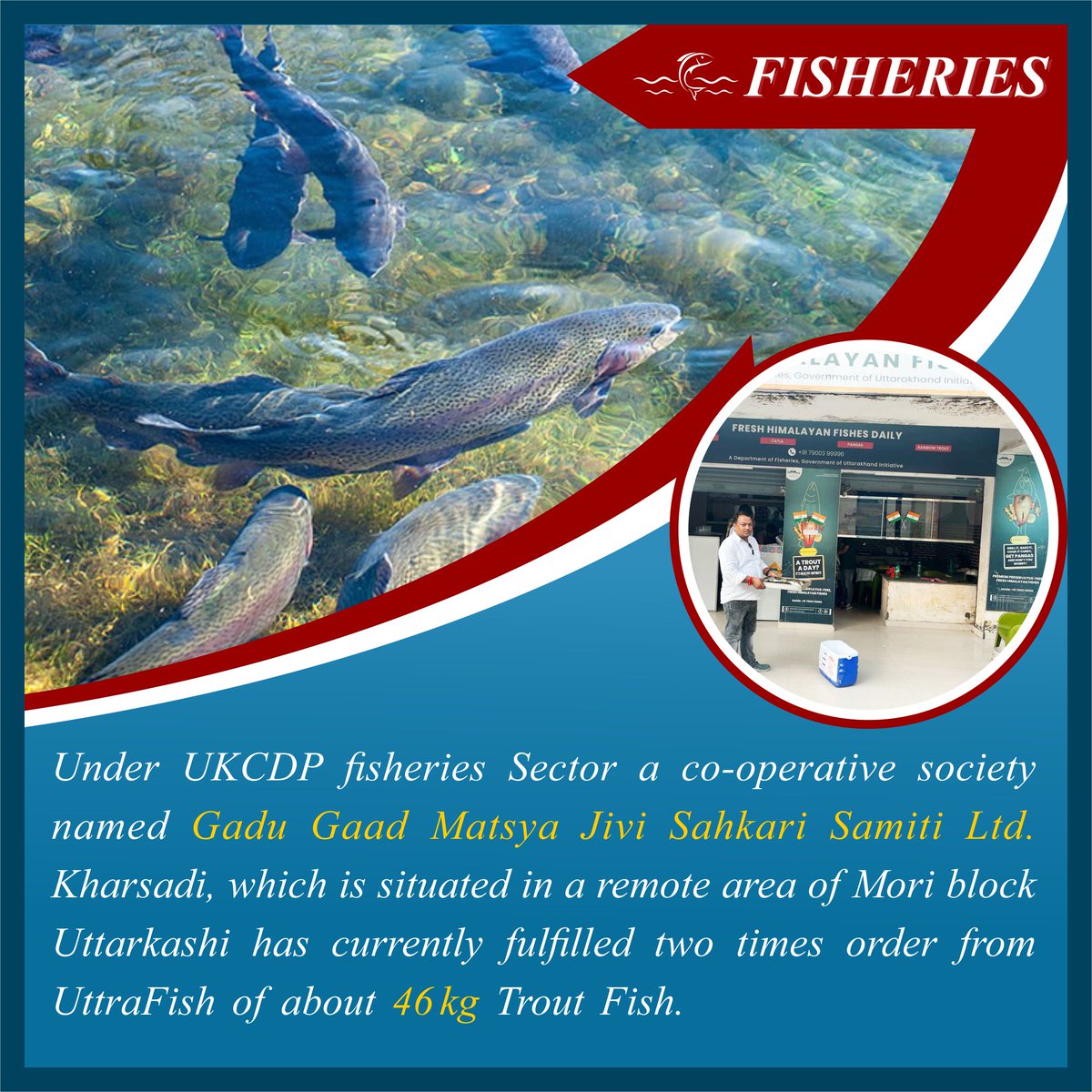 Uttarakhandcoo1's tweet photo. UKCDP INITIATIVE: FISHERIES SECTOR
@PMOIndia @MinOfCooperatn @NCDCgov @pushkardhami @sbahugunauk @basava_ias @anandsh999111 @pramodADF @FisheriesukInfo @htcity @HindustanTime @timesofindia @AmarUjalaNews @DainikBhaskar @dainikjagaran6 @TheDailyPioneer https://t.co/nQp20rPMPJ