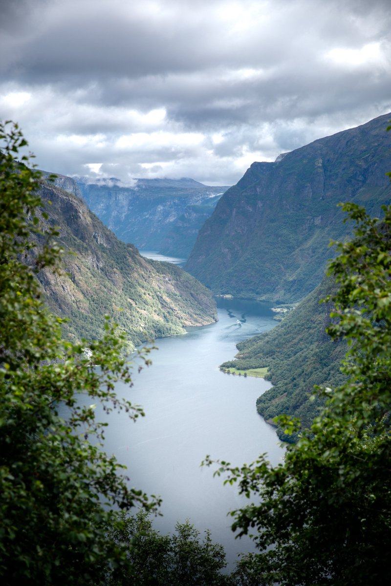 hellolaroux tweet media