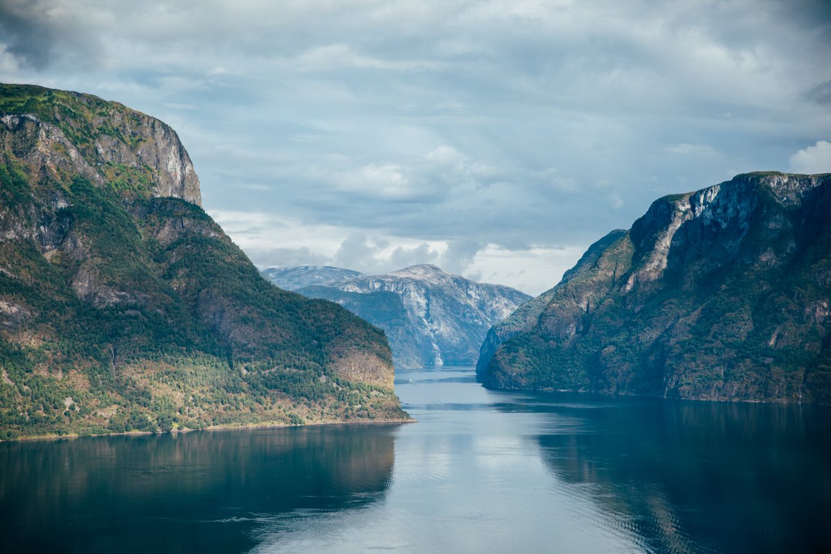 hellolaroux tweet media