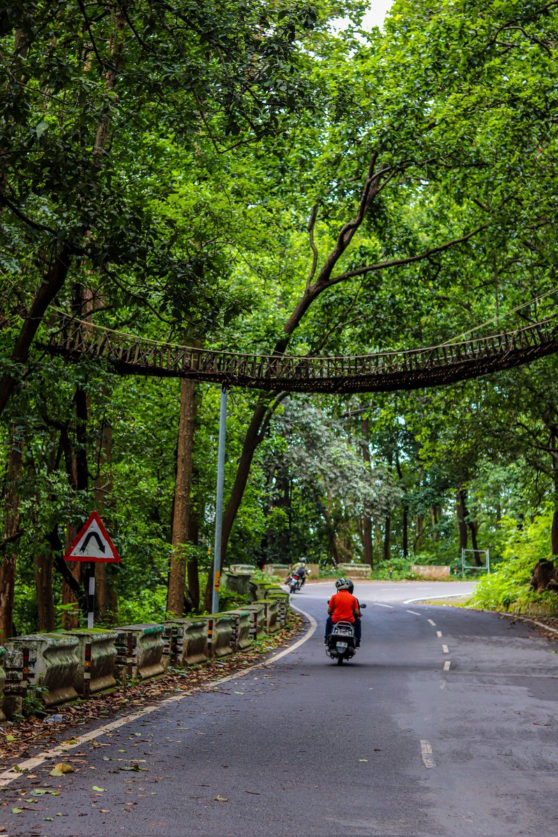 TMahiway's tweet photo. #Nainital https://t.co/rzhSIK1ei9