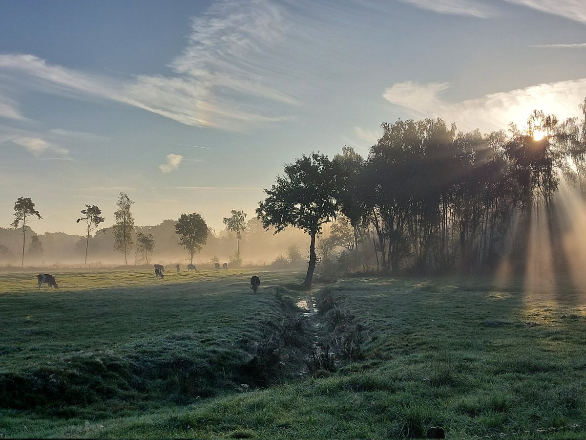 WoordvoerderVLM's tweet photo. Net op de verkeerde trein gesprongen, nu met een grote omweg naar Brussel 🙄 Maar wat een mooie ochtend weer! #septembermornings #openruimte #zen 👌 https://t.co/uBZqkWfQFB