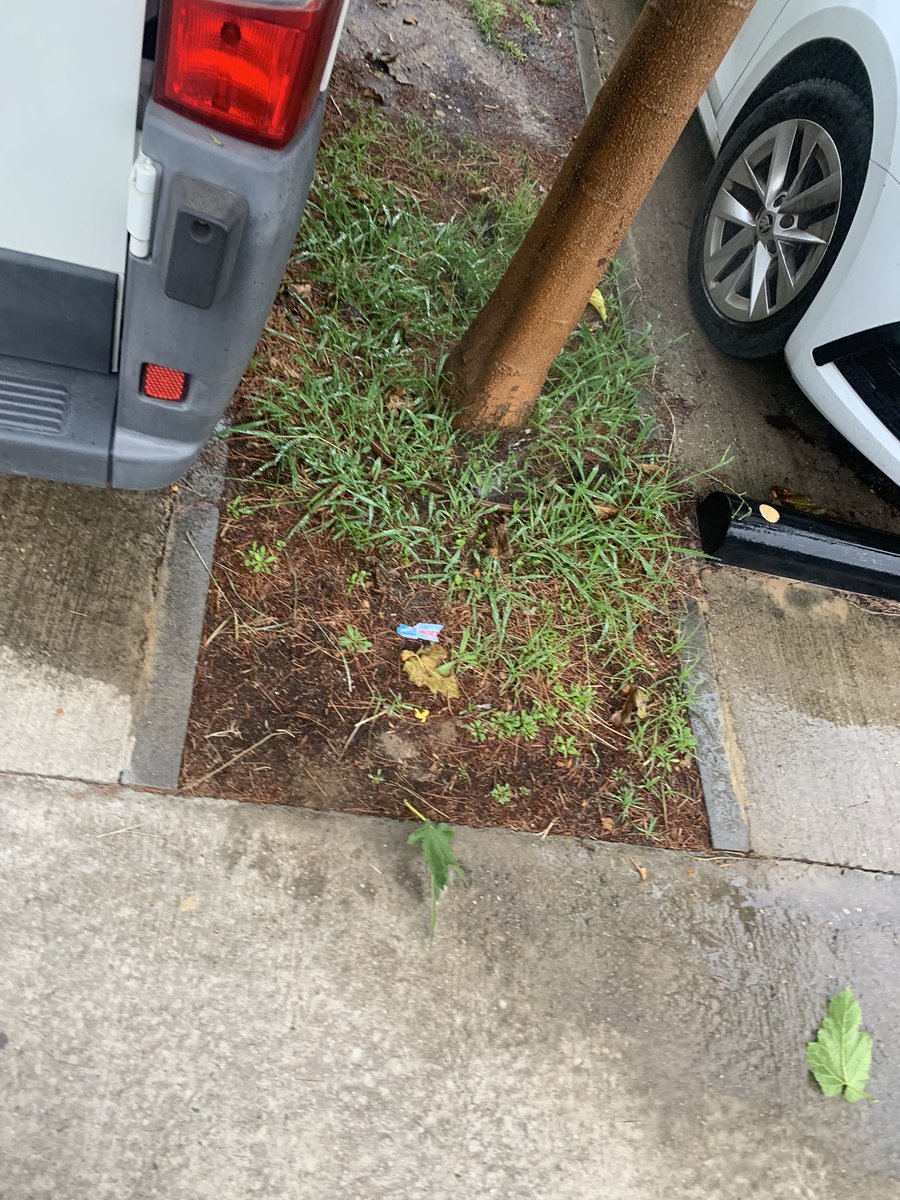 angiealgora's tweet photo. @zaragoza_es el sistema de riego del parking de delante del colegio moliere está desperdiciando mucha agua inútilmente en uno de sus arbolillos. 
En la foto no se aprecia, pero el agua sale hacia arriba como un aspersor y sin dirección. https://t.co/qEq67jrJjn