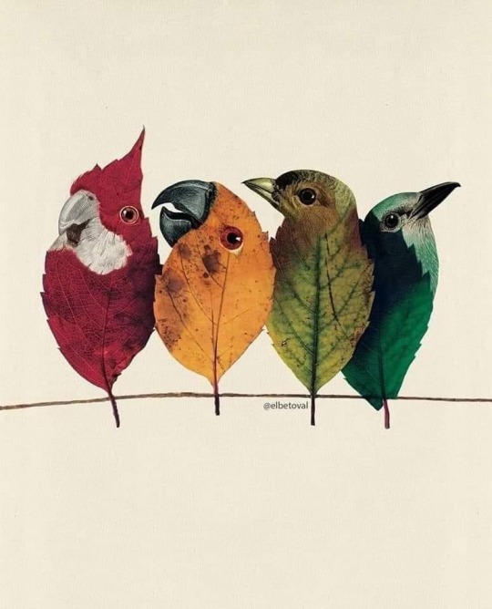 Bon dia!
¡Buenos días!

🍃🖌️Beto Val