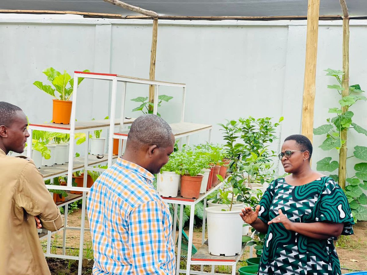 Happy Friday! Let's kickstart the weekend with a green touch. Youth and women are the future of agriculture, and together, we're turning fields into runways! 💃🌱 <a href="/MsigwaGerson/">Gerson Msigwa</a> <a href="/DorothNengai/">DorothNengai</a> <a href="/WizaraKilimo/">Wizara ya Kilimo</a> <a href="/CarolNdosi/">CarolNdosi</a> #FashionYaKijanaNiKilimo"