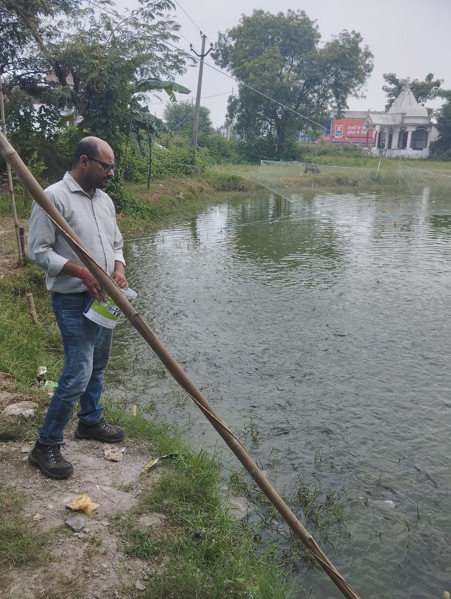 FisherCoopUK's tweet photo. #Haridwarfishfederation Monitoring of aquaculture activities in the fisheries cooperative societies ponds in Laksar, Haridwar by the Expert. #NCDC #UKCDP https://t.co/mJPdKojU4h