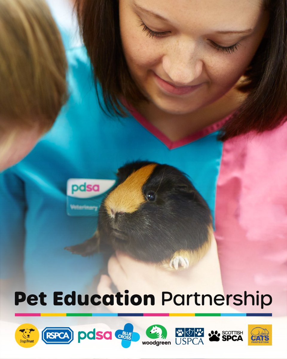 Calling all #PrimaryTeachers! 📣 Join the #PetEducationPartnership and revolutionise your classroom with interactive and educational pet content 📚

Discover a range of free resources and join us in shaping responsible pet owners of tomorrow: pdsa.me/jRvt