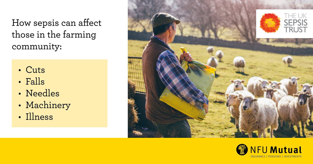 Simple cuts and grazes have the potential to become infected and could lead to sepsis. It is vital that any wounds should be cleaned, disinfected, and covered before returning to work.
Find out more about the risk of Sepsis in farming 👇 orlo.uk/rfhxt <a href="/UKSepsisTrust/">The UK Sepsis Trust</a>
