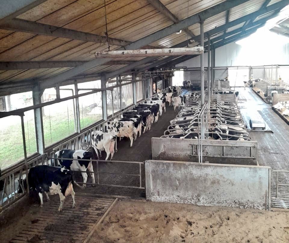 During my visit to FrieslandCampina Headquarters, Netherlands, I had the opportunity to meet Jeroen Elfers, the Director of Dairy Development. He provided valuable insights into the cooperative and its operations.

FrieslandCampina is one of the largest dairy cooperatives