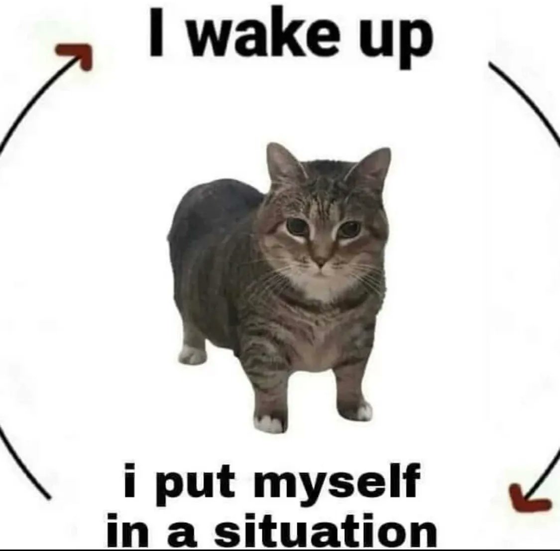 hourly_shitpost's tweet image. 